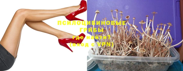 спайс Алексин