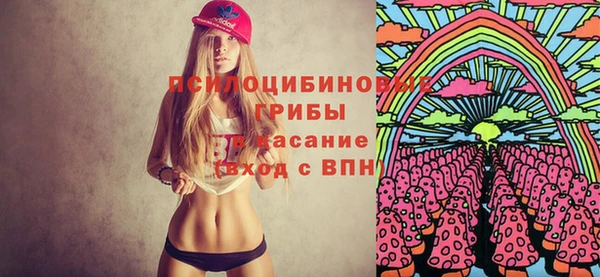бошки Алексеевка