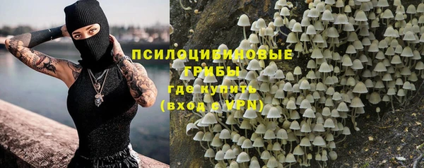 каннабис Алзамай
