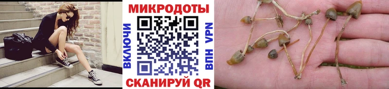 Галлюциногенные грибы мухоморы  Данилов 