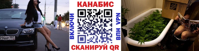 наркошоп  Данилов  Бошки марихуана индика 